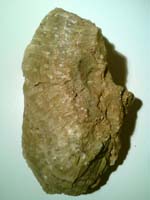Kalcit
