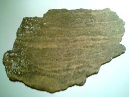 Migmatit
