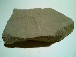 Lapor